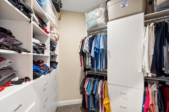 spacious closet featuring carpet