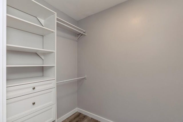 spacious closet featuring dark hardwood / wood-style floors