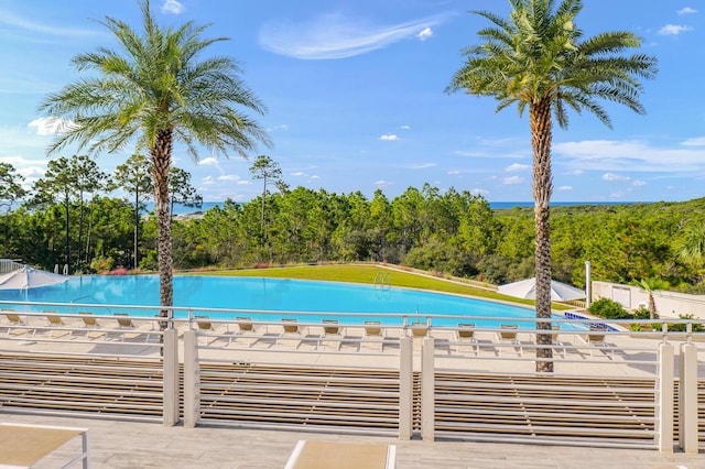 view of swimming pool