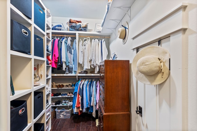 spacious closet featuring wood-type flooring