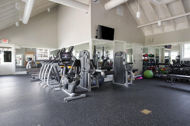 exercise room featuring high vaulted ceiling