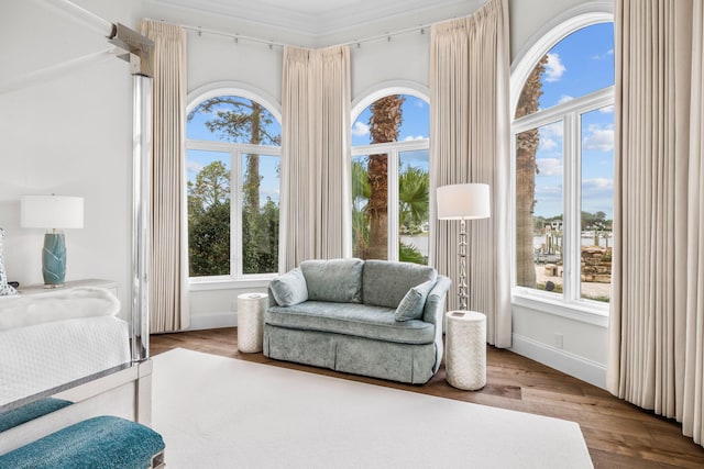 interior space with plenty of natural light, wood-type flooring, and crown molding