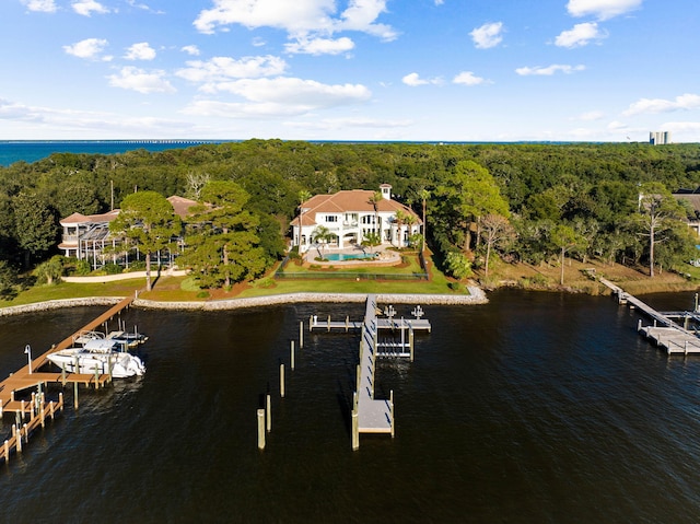 aerial view with a water view