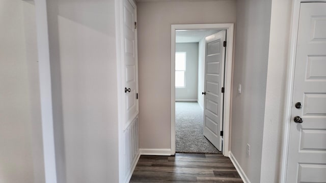 hall with dark hardwood / wood-style flooring