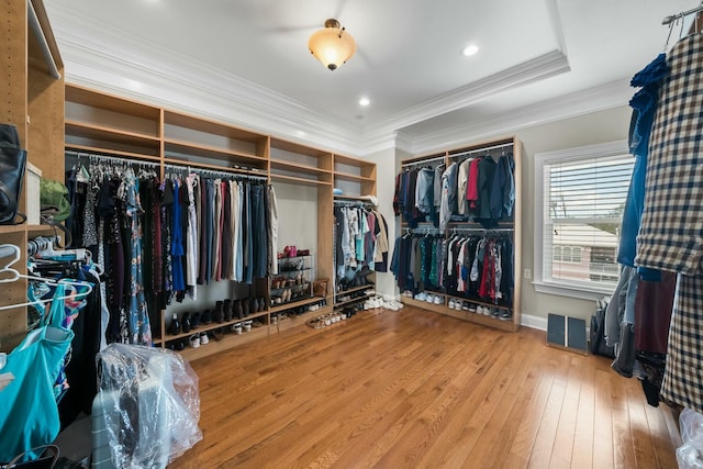 walk in closet featuring hardwood / wood-style floors and a tray ceiling