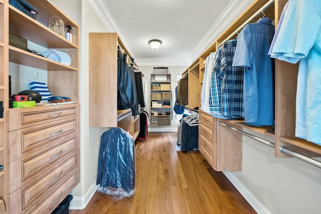 walk in closet with wood-type flooring