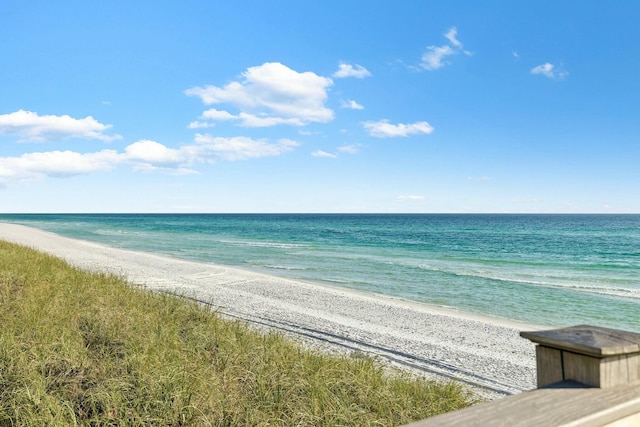 water view with a view of the beach