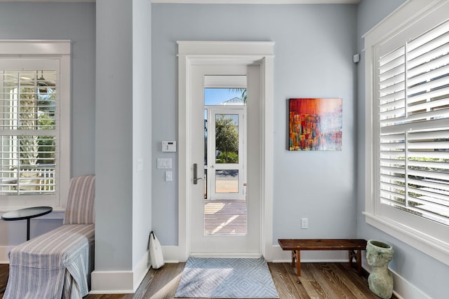 foyer entrance with hardwood / wood-style floors and a healthy amount of sunlight