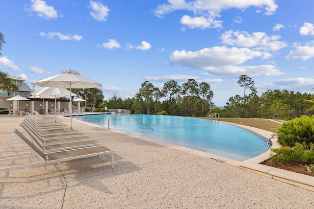 view of pool with a patio