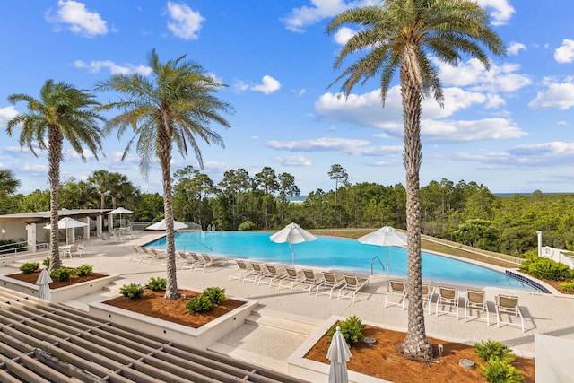 view of pool with a patio