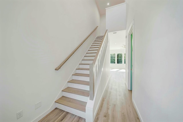 staircase featuring hardwood / wood-style floors and ceiling fan