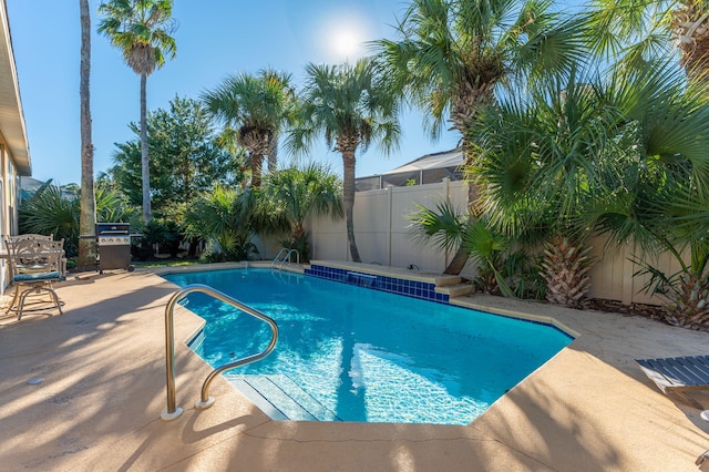 view of pool with a patio area