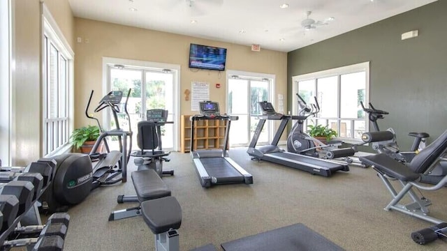 gym with carpet floors, ceiling fan, and a healthy amount of sunlight