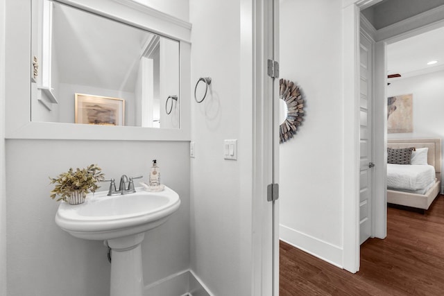 bathroom with hardwood / wood-style flooring