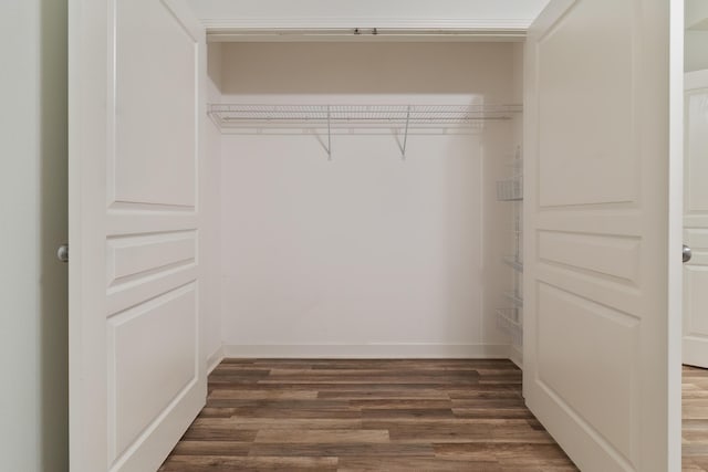 view of closet