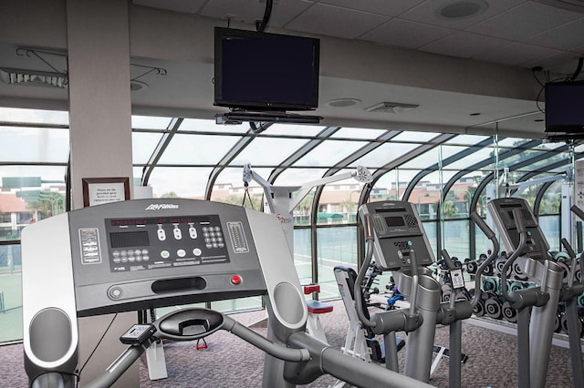 exercise room featuring carpet and a healthy amount of sunlight