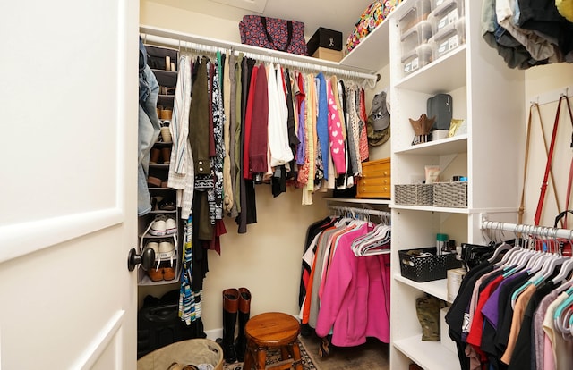 view of spacious closet