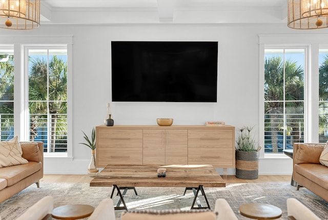 living room featuring beam ceiling and light wood-type flooring