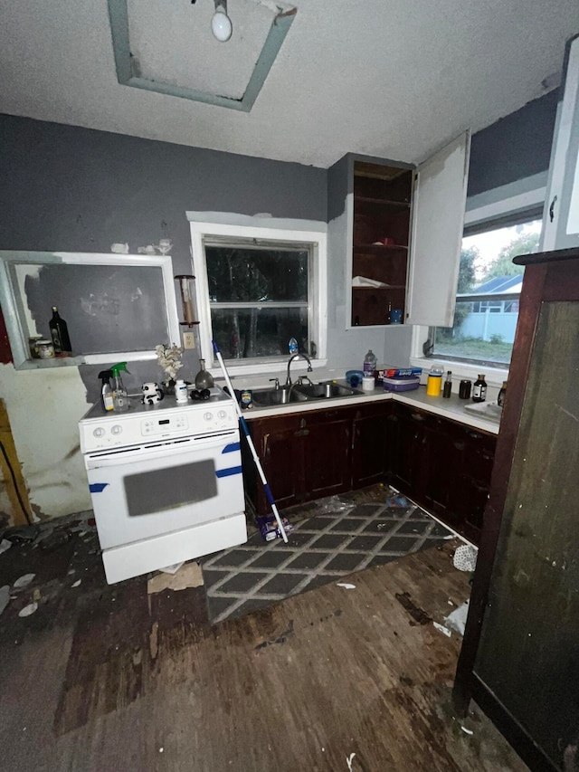 kitchen with white electric range oven, a textured ceiling, dark hardwood / wood-style flooring, and sink