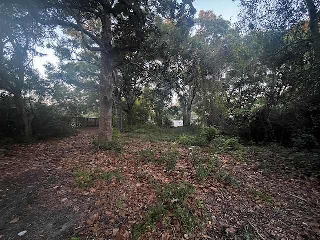 view of local wilderness