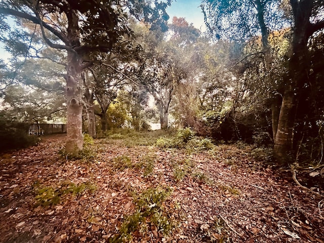 view of local wilderness