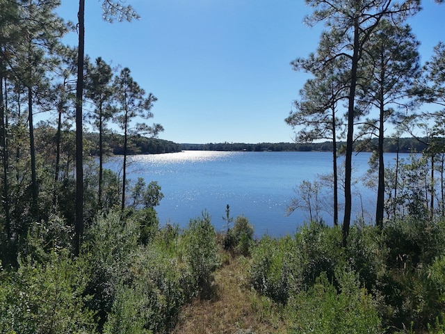 1846 Spring Lake Rd, Defuniak Springs FL, 32433 land for sale