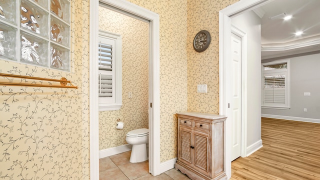 bathroom with hardwood / wood-style floors, a raised ceiling, and toilet