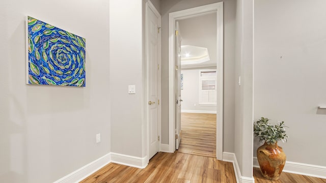 hallway with a raised ceiling and light hardwood / wood-style flooring