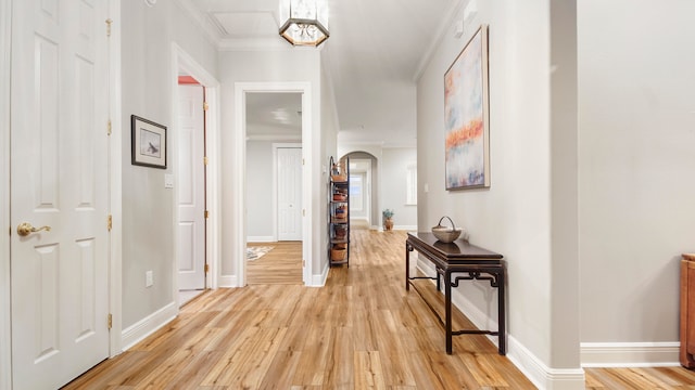 corridor featuring crown molding and light wood-type flooring