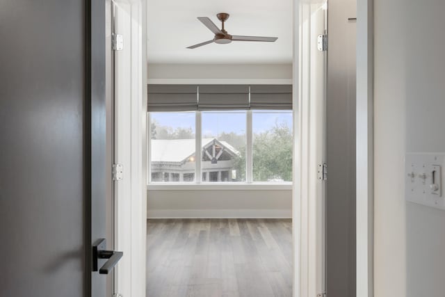 hall featuring wood-type flooring