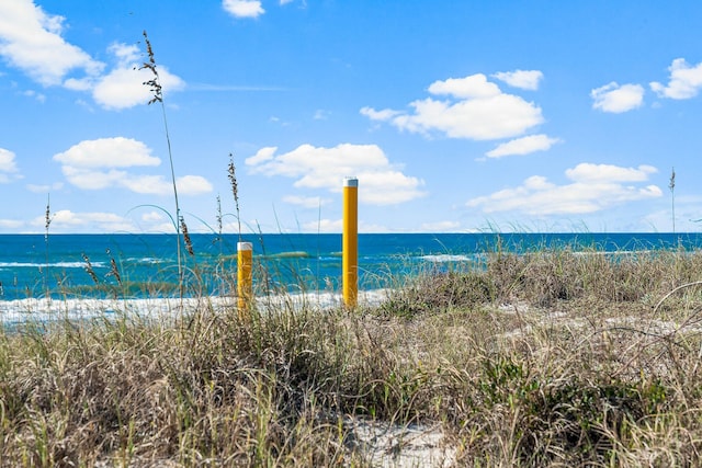 water view with a view of the beach