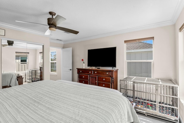 bedroom with multiple windows, ceiling fan, a closet, and crown molding