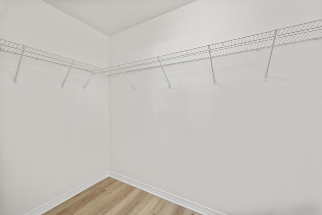 walk in closet with hardwood / wood-style floors