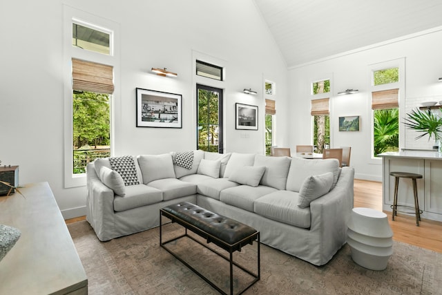 living room featuring hardwood / wood-style flooring and high vaulted ceiling