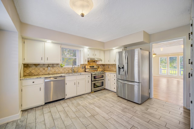 kitchen with light wood-type flooring, stainless steel appliances, a healthy amount of sunlight, and sink