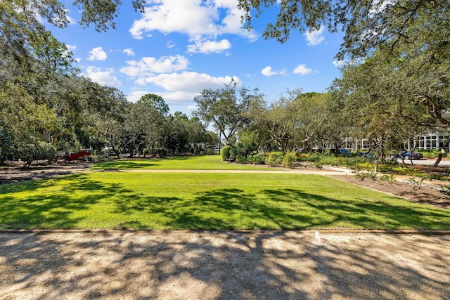 view of community with a yard