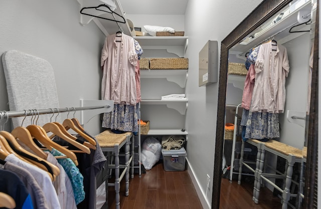 walk in closet with dark wood-type flooring