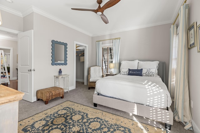 carpeted bedroom with a closet, a spacious closet, ceiling fan, and ornamental molding