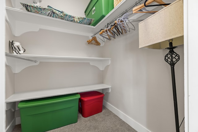 walk in closet with carpet floors