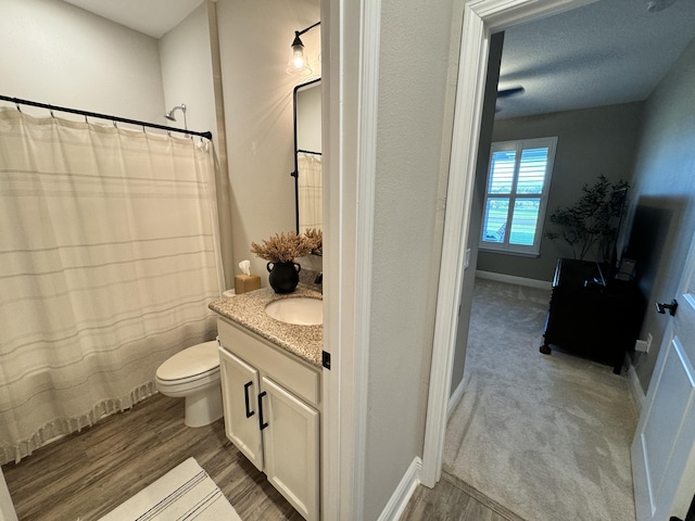 624 Tournament Ln, Freeport, FL 32439 - bathroom with vanity, wood finished floors, toilet, and a shower with curtain