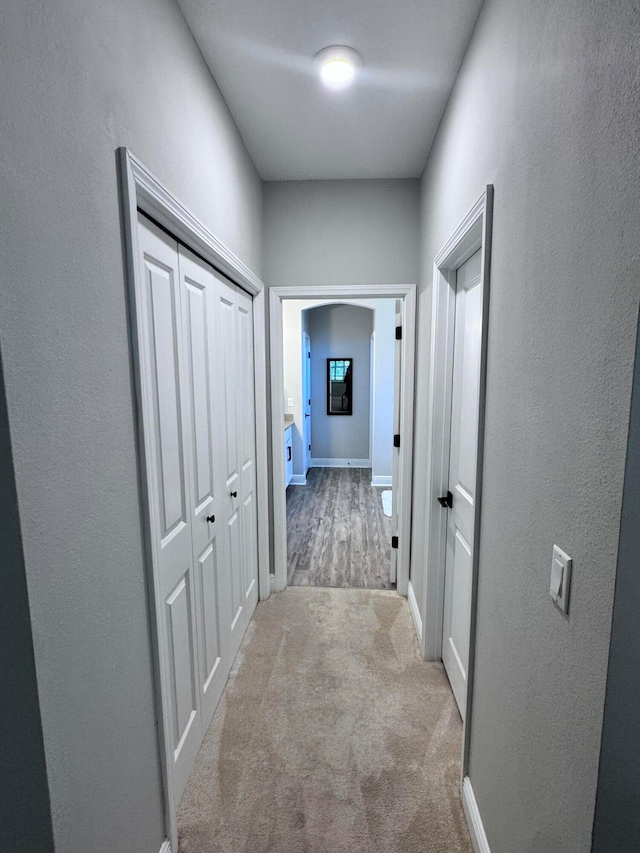 hallway featuring light carpet