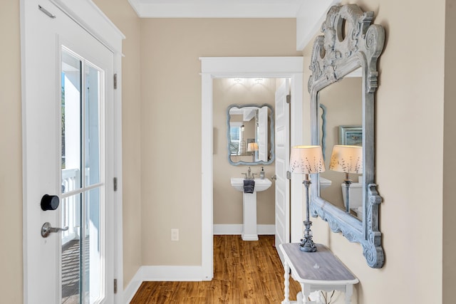 entryway featuring wood-type flooring