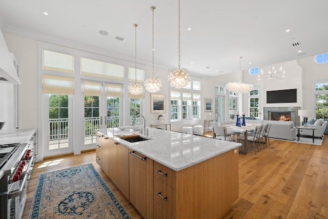 kitchen featuring light hardwood / wood-style flooring, plenty of natural light, a spacious island, and sink