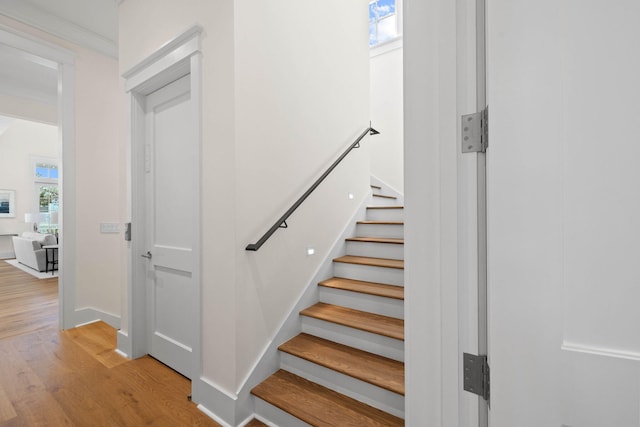 stairs featuring hardwood / wood-style flooring and a healthy amount of sunlight