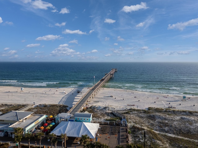 bird's eye view with a water view and a view of the beach