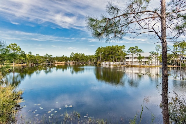 property view of water