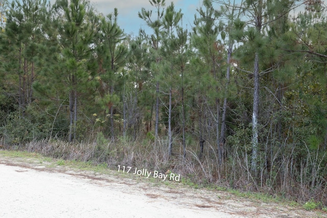 Listing photo 3 for 117 Jolly Bay Rd, Freeport FL 32439