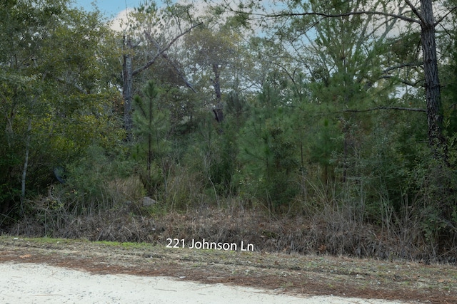 221 Johnson Ln, Freeport FL, 32439 land for sale