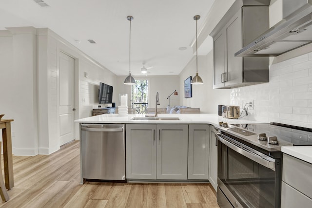 kitchen featuring appliances with stainless steel finishes, gray cabinetry, wall chimney exhaust hood, sink, and light hardwood / wood-style floors