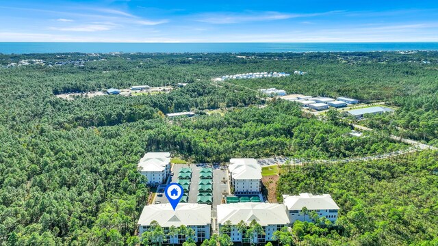 179 S County Highway 393 # 324, Santa Rosa Beach, FL 32459 - aerial view of a forest